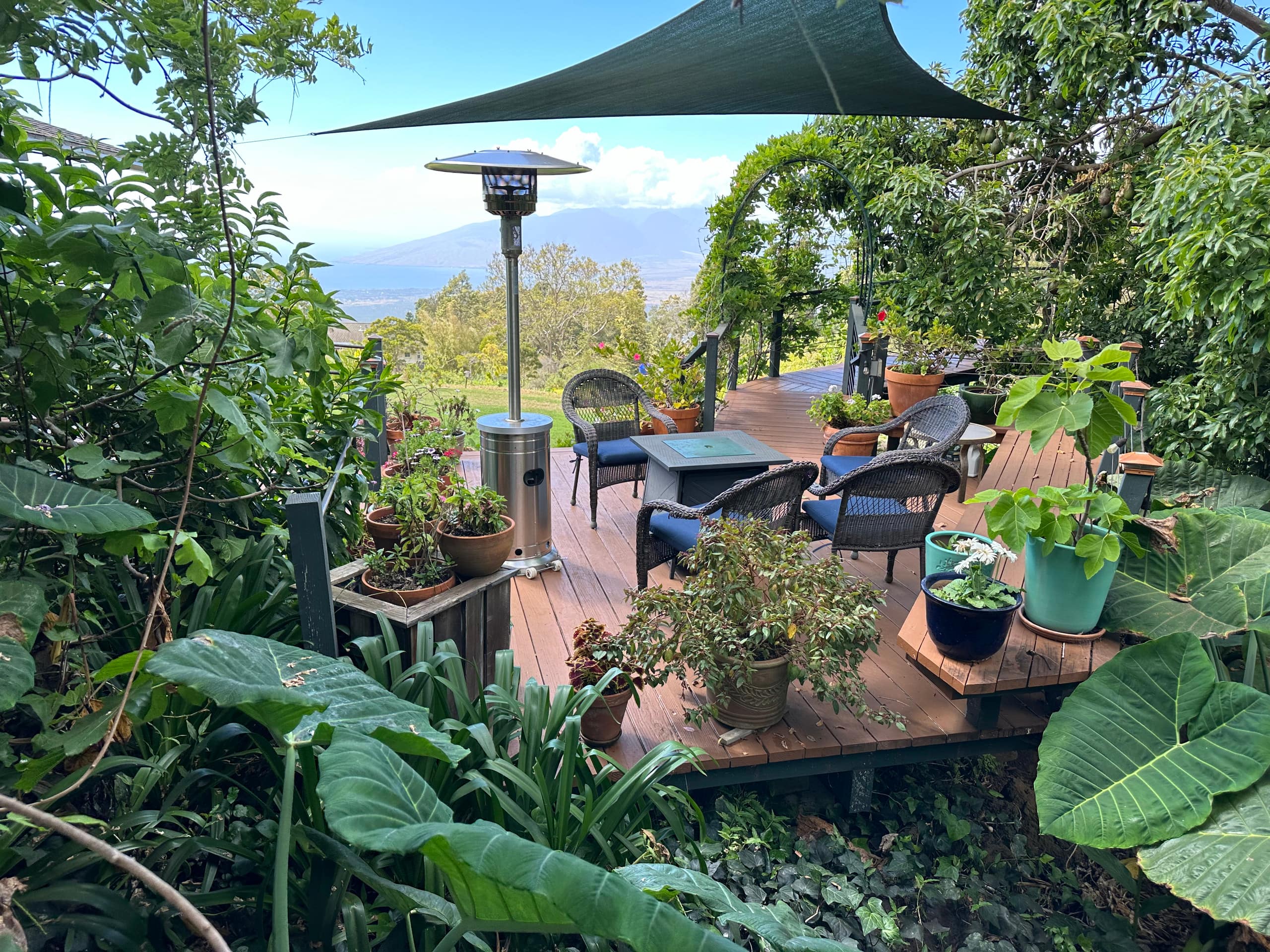 Charming Art Studio on a Scenic Mountain Slope - Photo 16