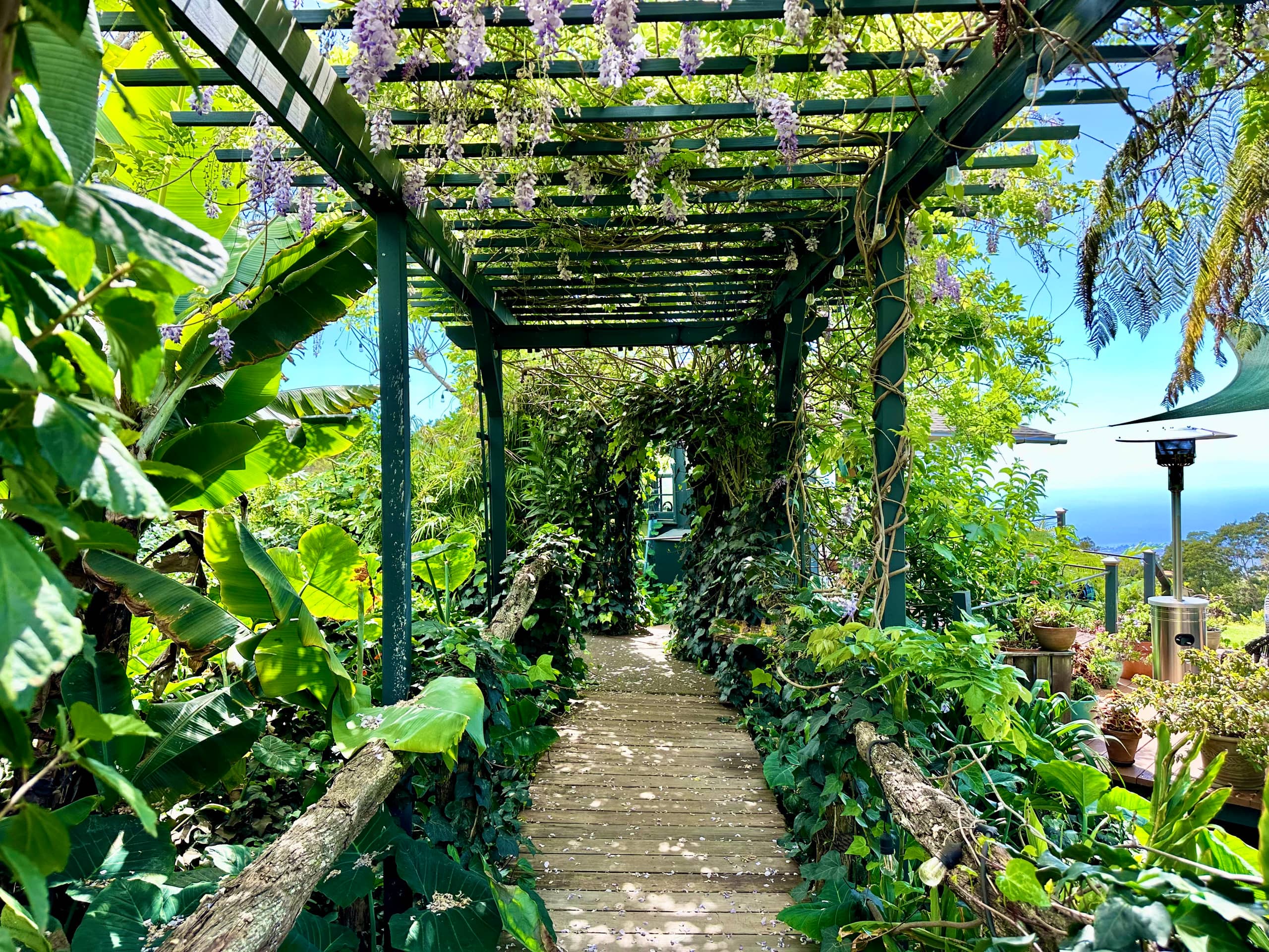 Charming Art Studio on a Scenic Mountain Slope - Photo 20