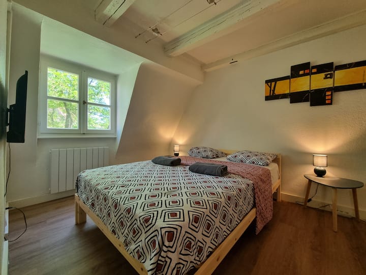 Appartement Petite France - Estrasburgo