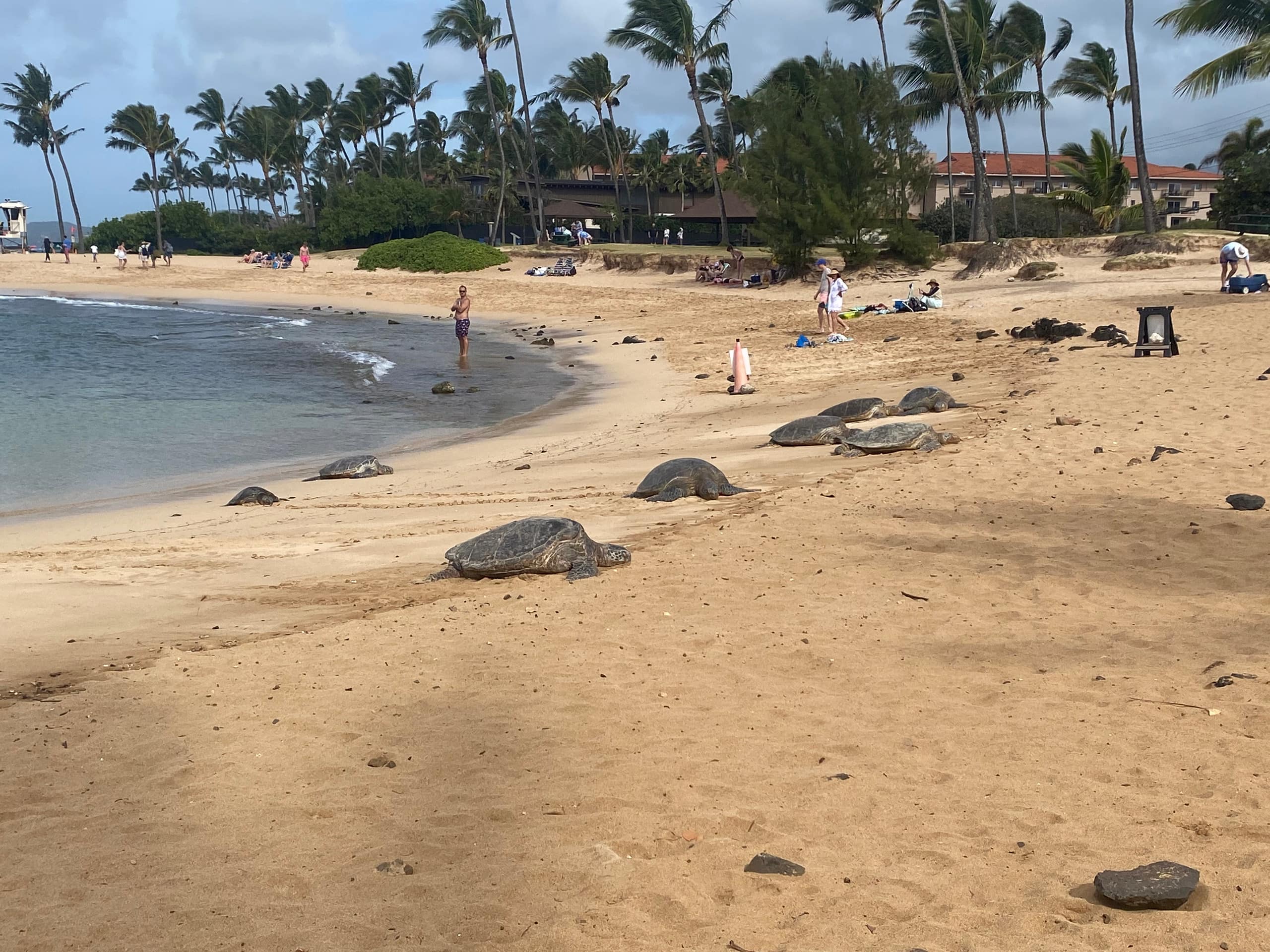 Great Kiahuna Condo on the Beach with A/C - Image 20