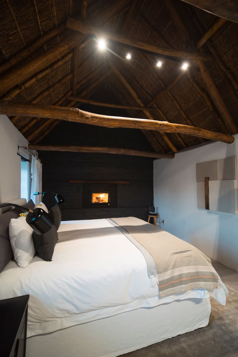 Thatch Haus, above the West Coast sandveld, Darling, Western Cape, South Africa, photo 7 of 10