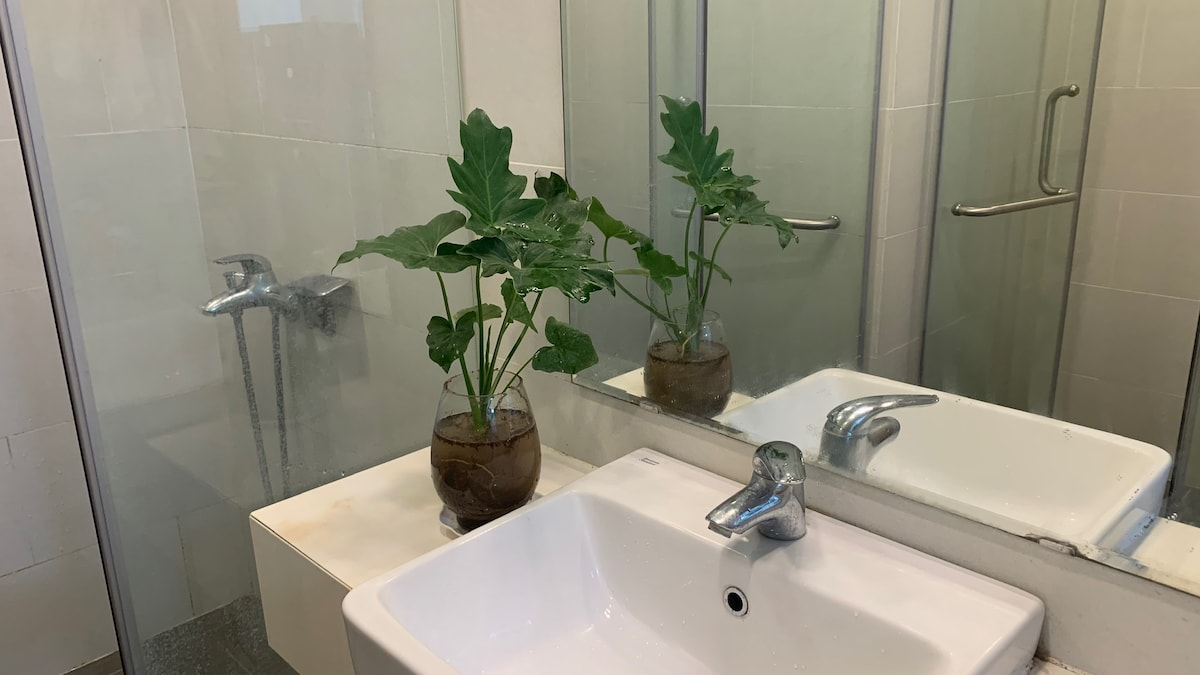 A modern bathroom features a sleek white sink with a chrome faucet, positioned against a light-colored wall. A large mirror reflects a potted plant on the counter, adding a touch of greenery. A glass shower enclosure is visible in the background.