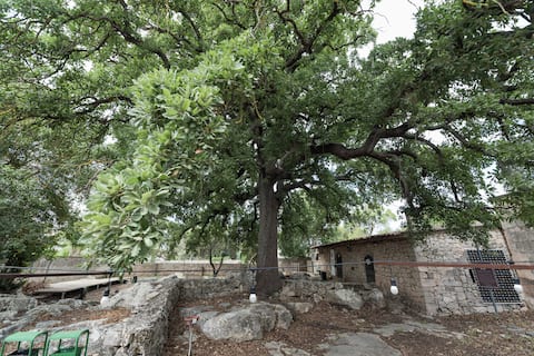 Casa della Quercia