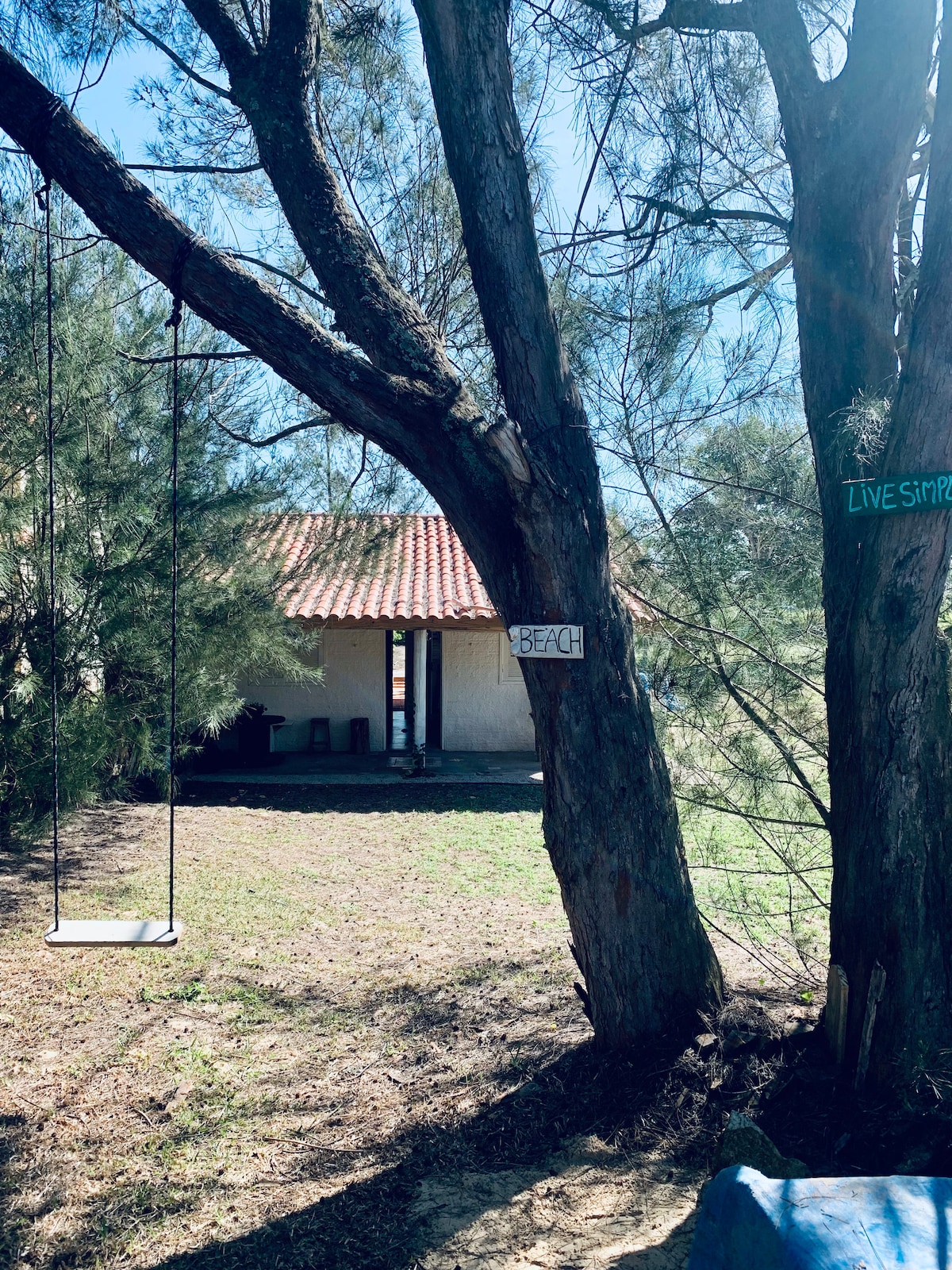 A swing hangs from a tree in a grassy area, with a house visible in the background. The structure has a tiled roof and open doors, inviting natural light. A sign indicating 'BEACH' is mounted on the tree, suggesting proximity to the shoreline.