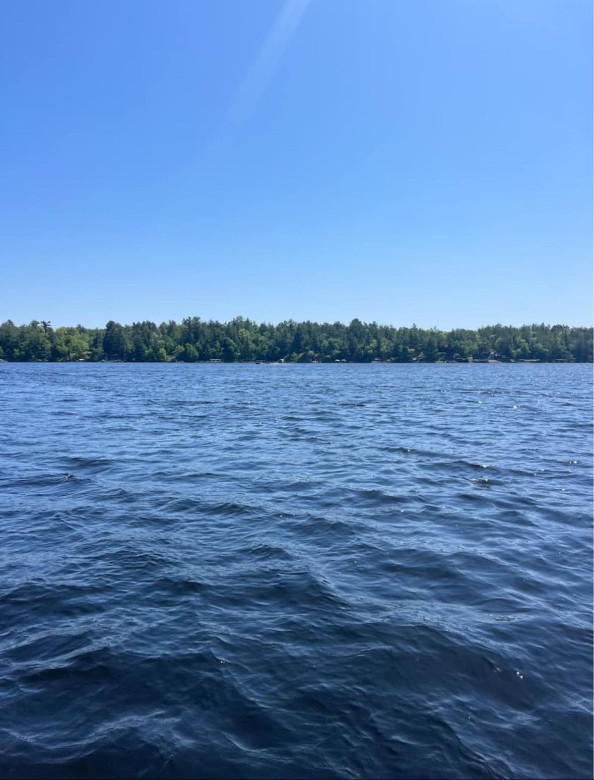 A calm body of water is depicted under a clear blue sky. Gentle waves create patterns on the water's surface, while lush green trees line the shore in the background, offering a sense of tranquility and natural beauty.