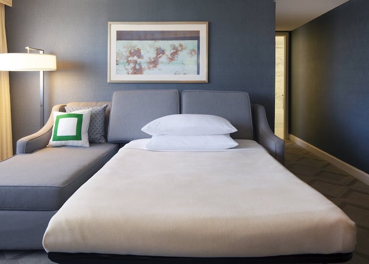 2 Units At Melrose Georgetown Hotel, Pets Allowed! - Arlington, VA
