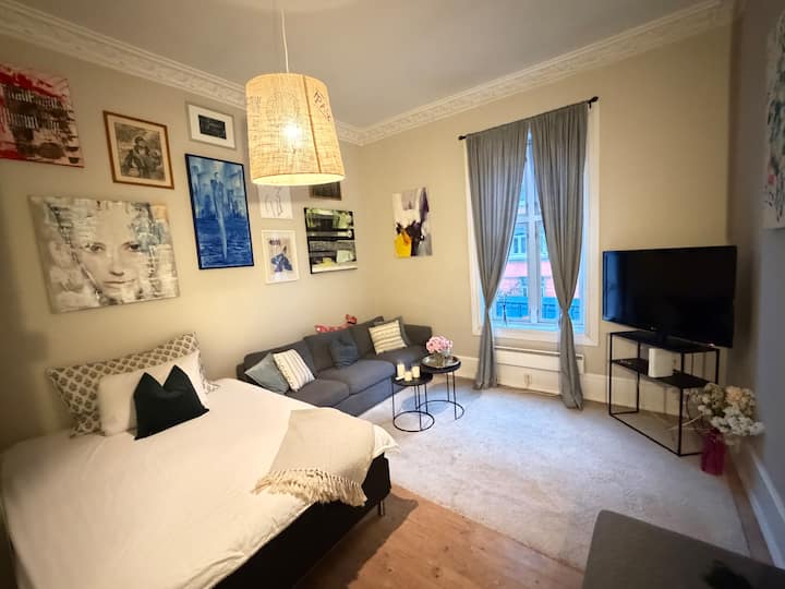 Spacious Apartment In Vika – Central Oslo - Oslo
