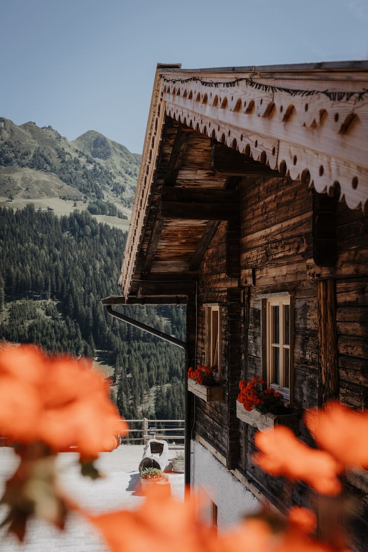 Meisterwurz, Peer Alm - Navis