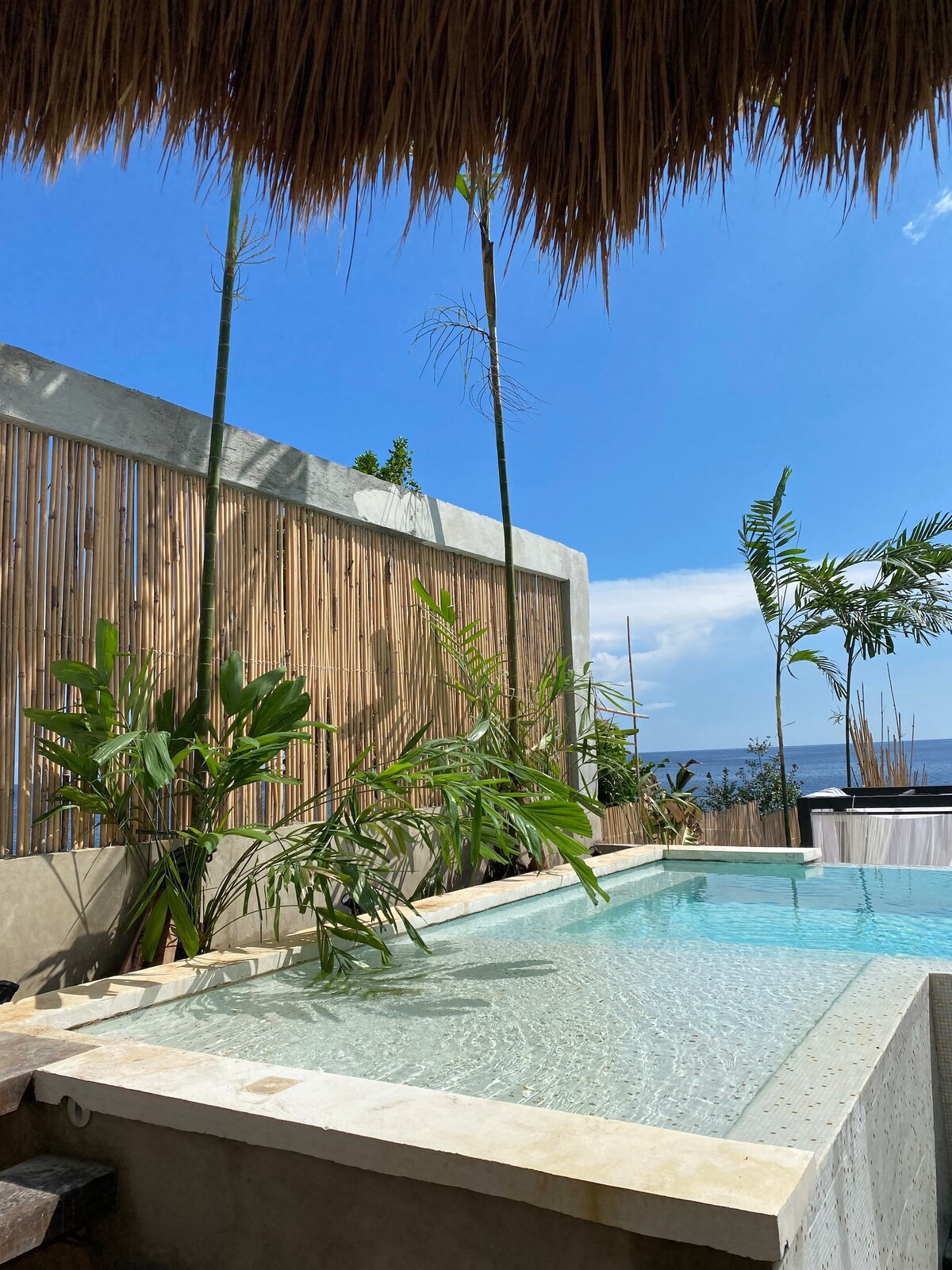 A private infinity plunge pool is surrounded by tropical plants and bamboo fencing. The clear water reflects the blue sky above, creating a serene atmosphere. Sunlight highlights the natural textures of the pool's surface and surrounding foliage.