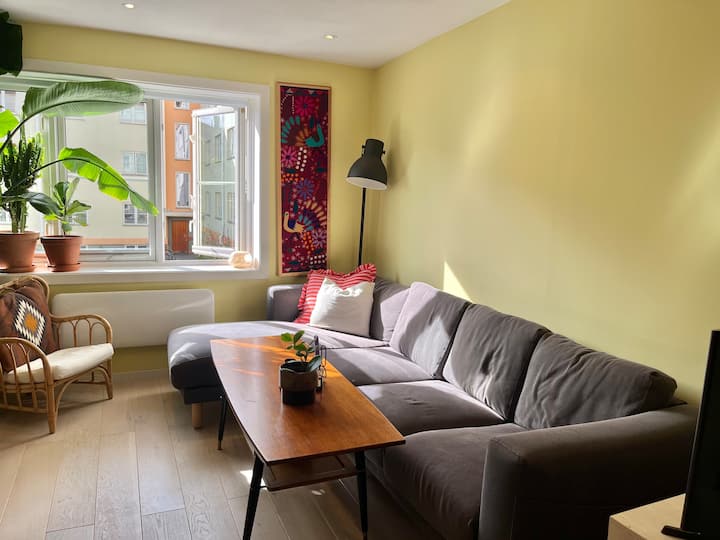 Historic Modern Apartment Near Oslo Center - Oslo