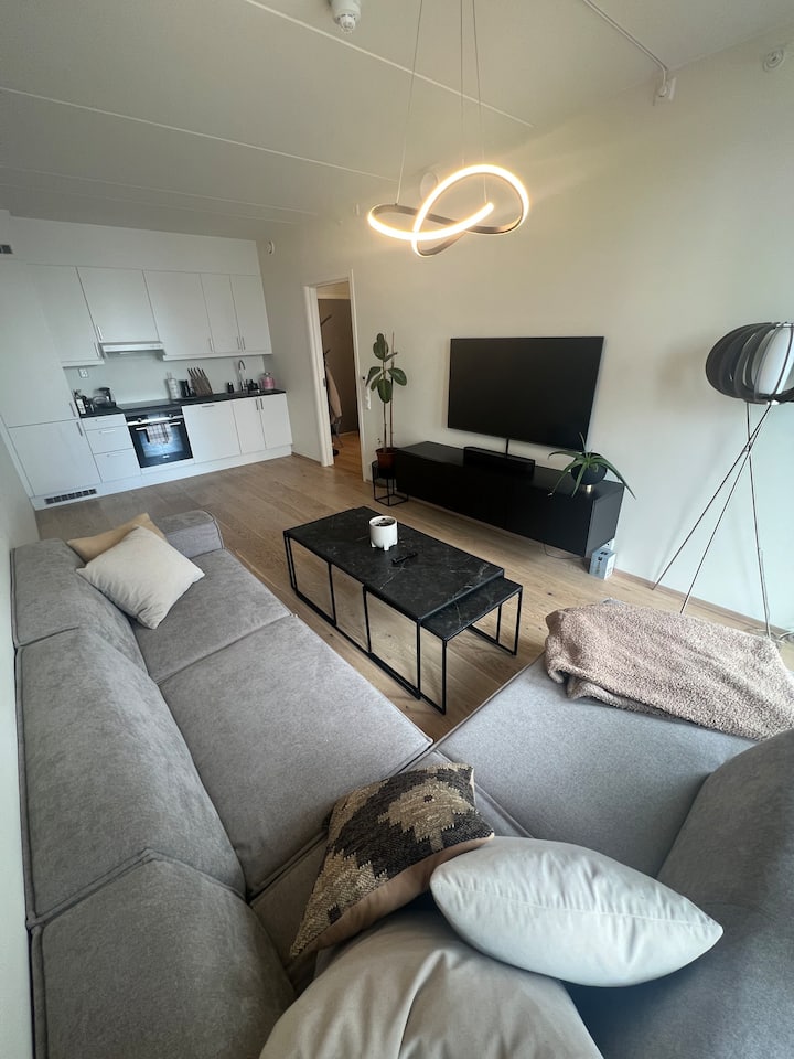 Nydelig Moderne Leilighet - Oslo