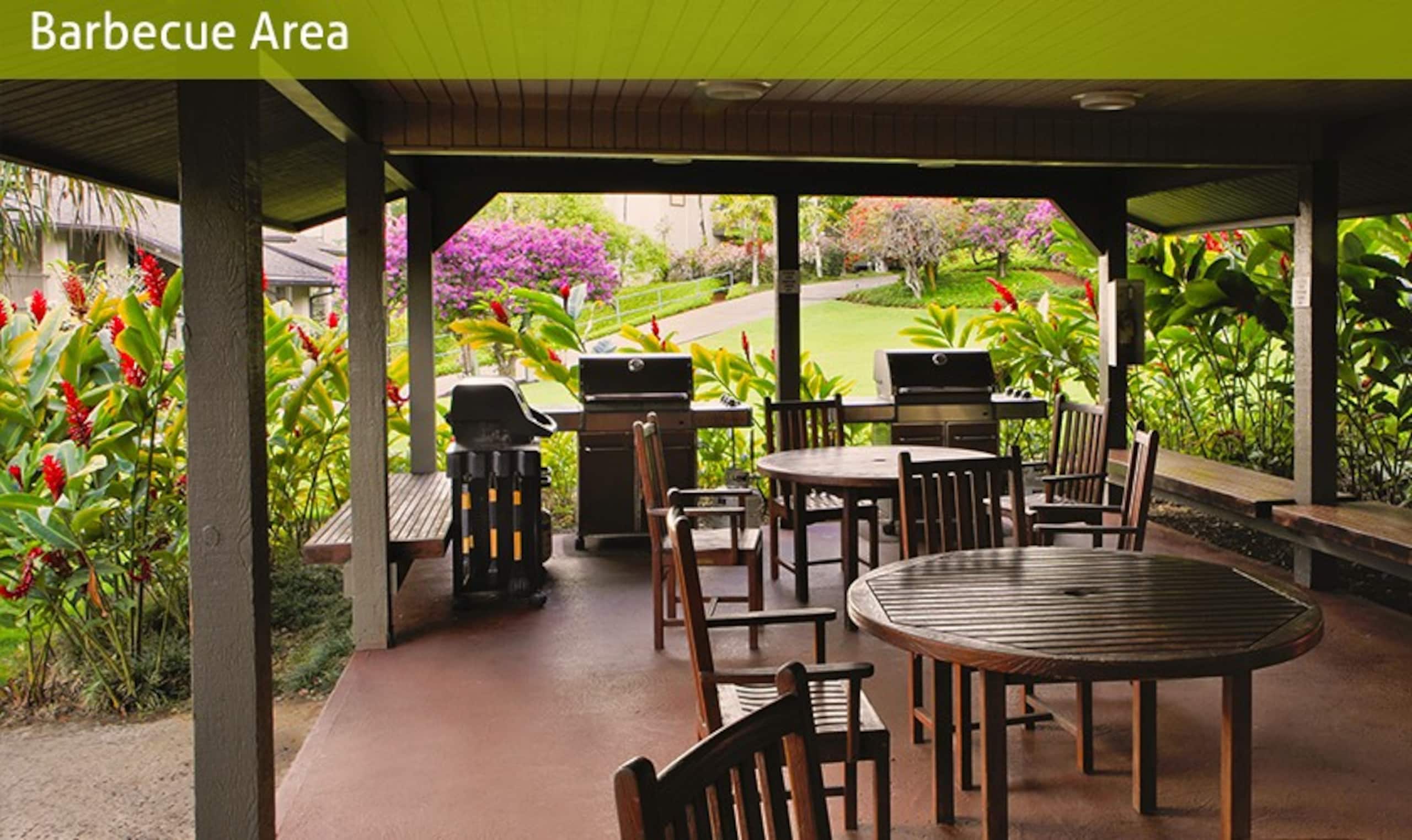 Condo in Princeville · ★4.96 · 2 bedrooms · 4 beds · 2 baths - Image 65