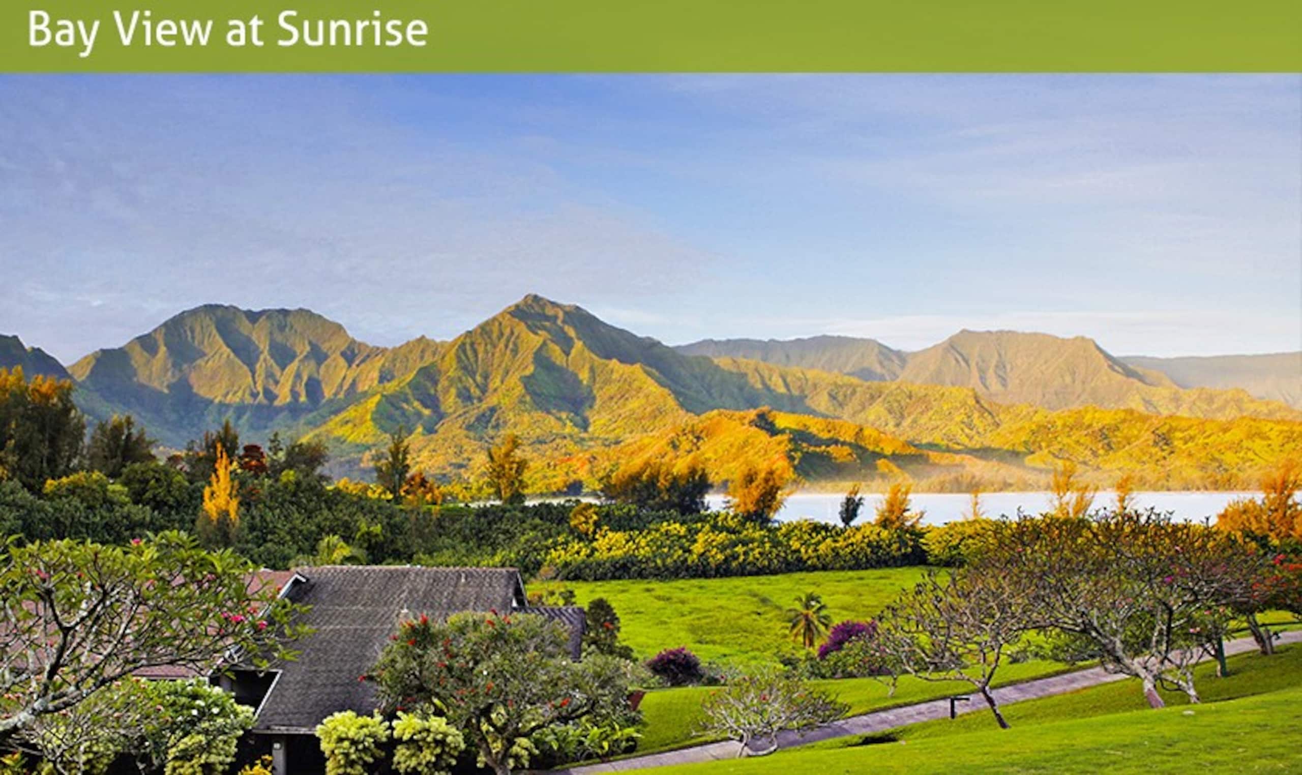 Condo in Princeville · ★4.96 · 2 bedrooms · 4 beds · 2 baths - Image 64