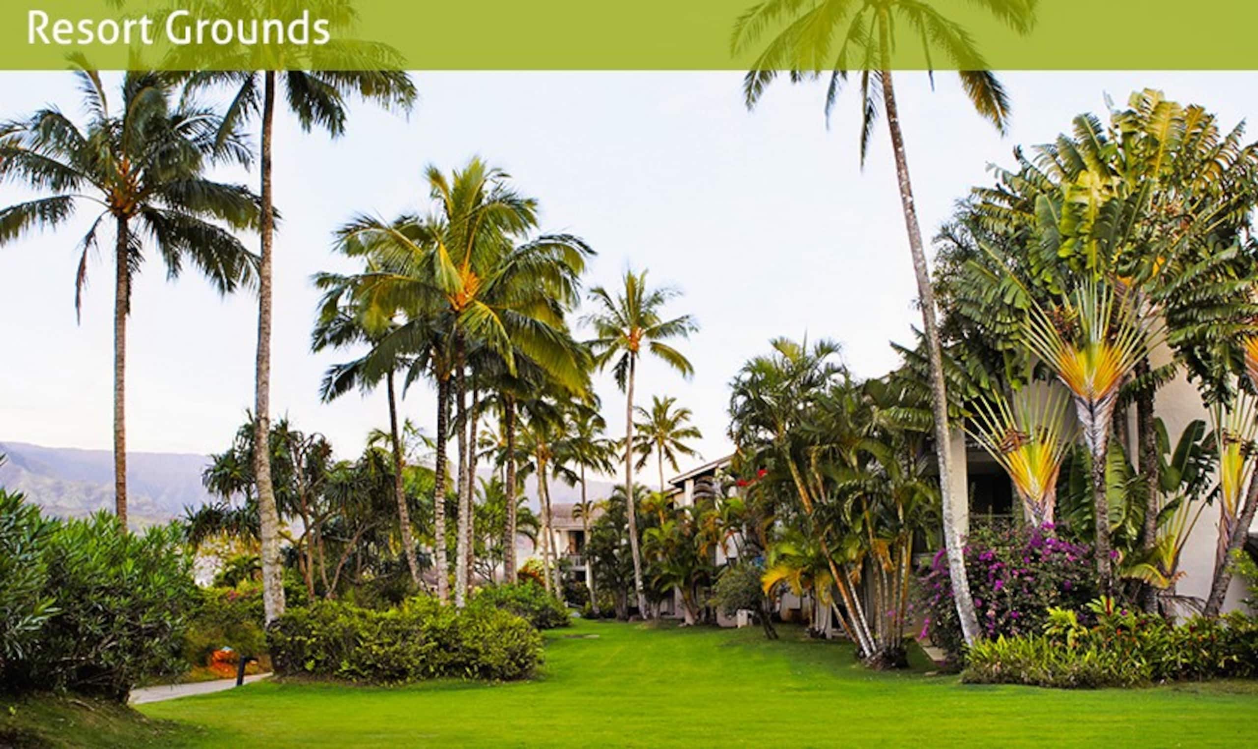 Condo in Princeville · ★4.96 · 2 bedrooms · 4 beds · 2 baths - Image 67