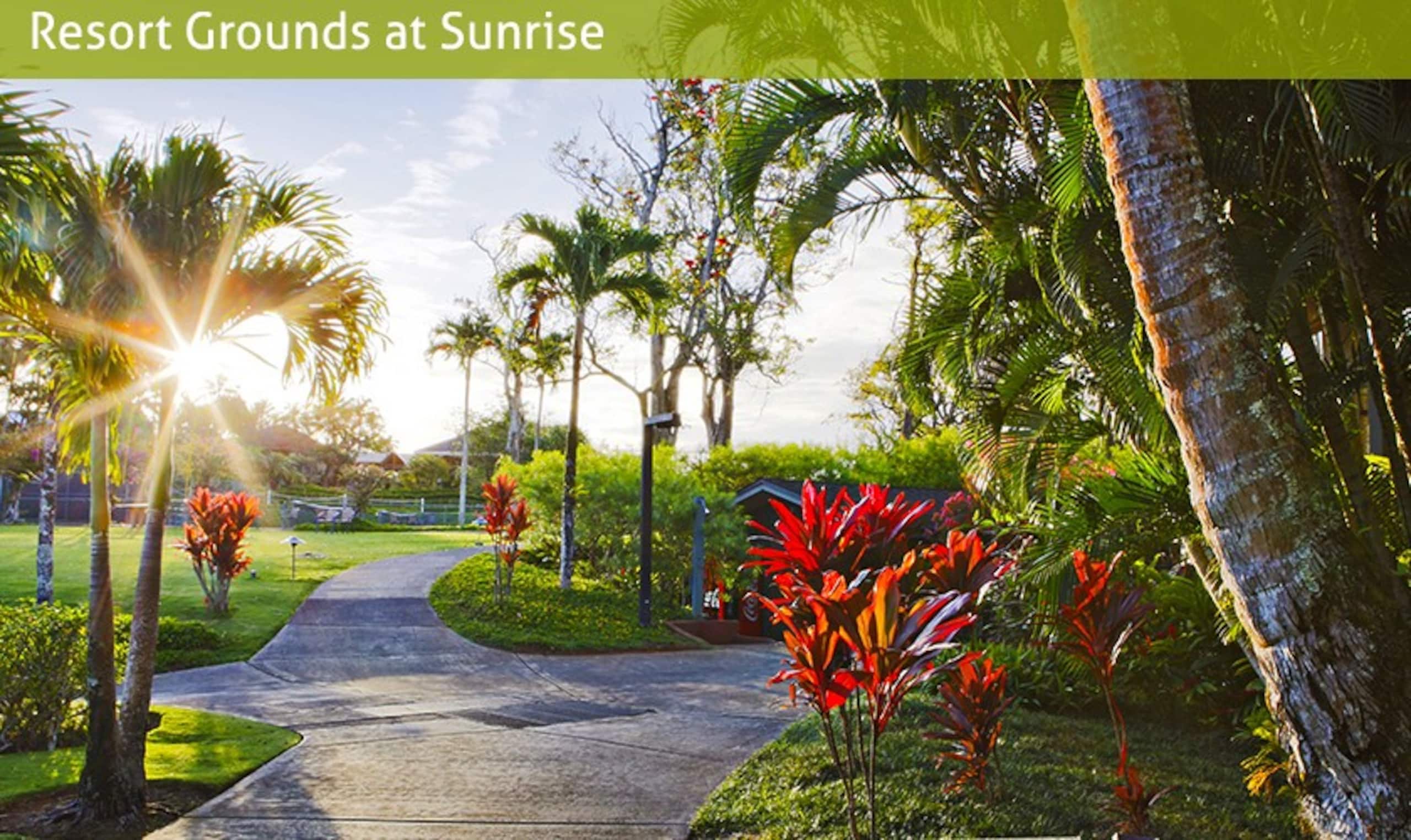 Condo in Princeville · ★4.96 · 2 bedrooms · 4 beds · 2 baths - Image 57