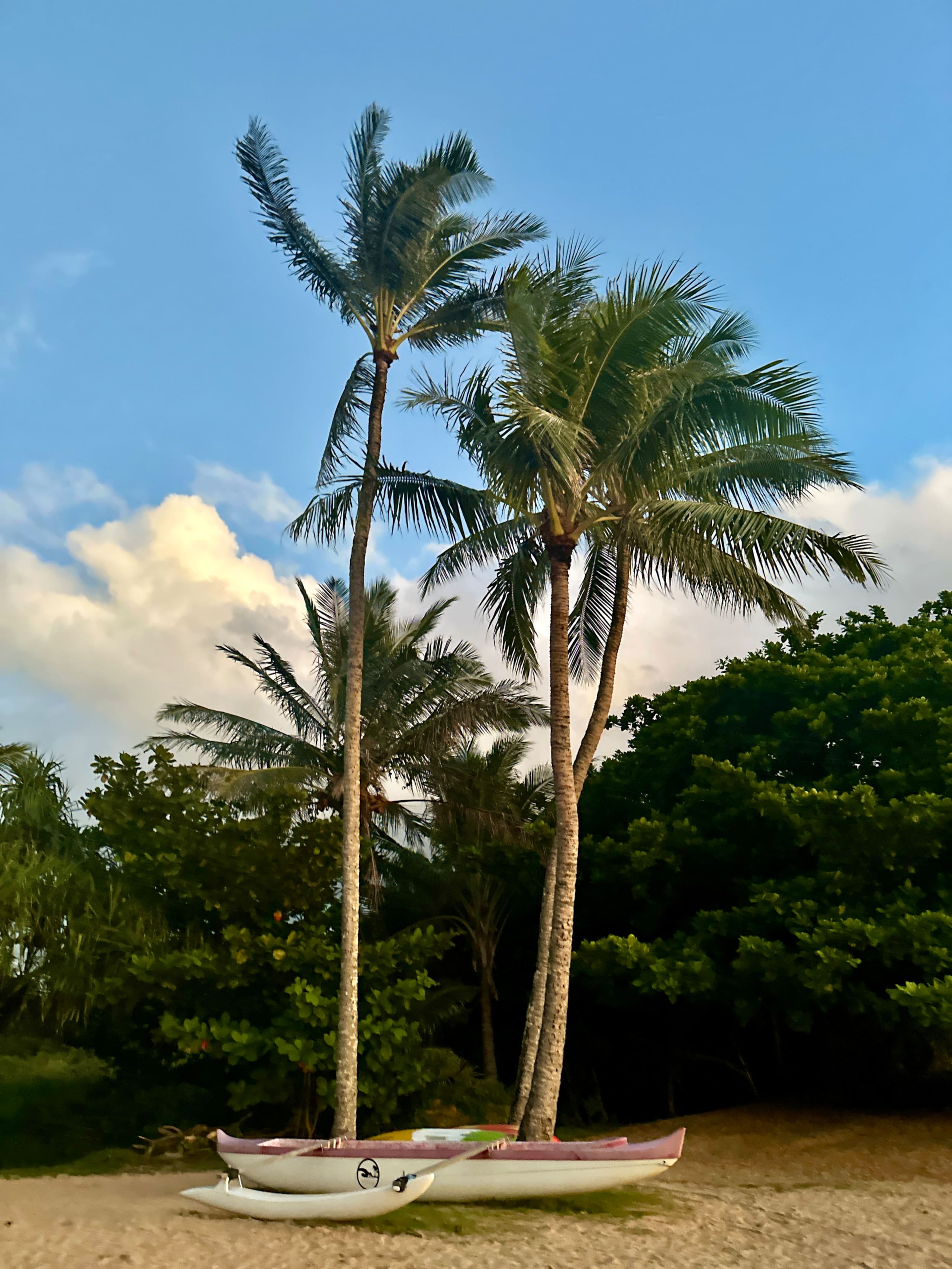 Condo in Princeville · ★4.96 · 2 bedrooms · 4 beds · 2 baths - Image 49