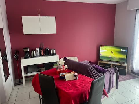 Annonce Airbnb populaire: 32 m² studio in the city center à Thonon Les Bains