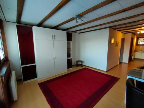 Fully equipped studio between nature and city!