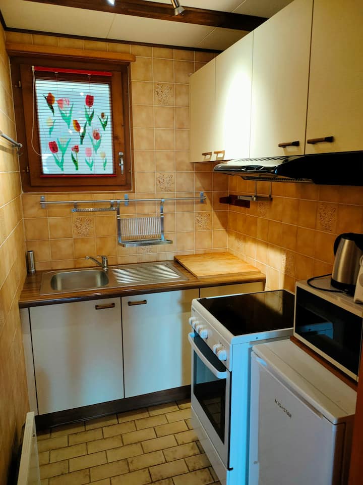 Studio Tout éQuipé Entre Nature Et Ville! - Yverdon-les-Bains