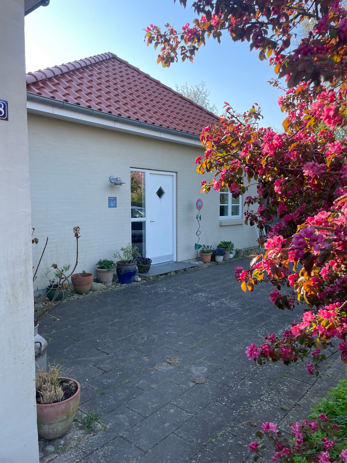 The entrance to the bungalow is framed by vibrant flowering plants and potted shrubs. A simple door with a diamond-shaped window is visible, accompanied by a light fixture on the wall. A stone pathway leads to the door, providing access to the welcoming home.