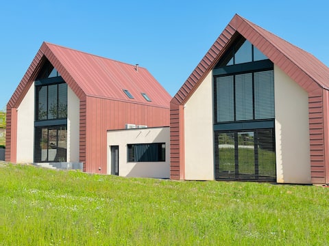 The Villa of the Vineyards of Alsace