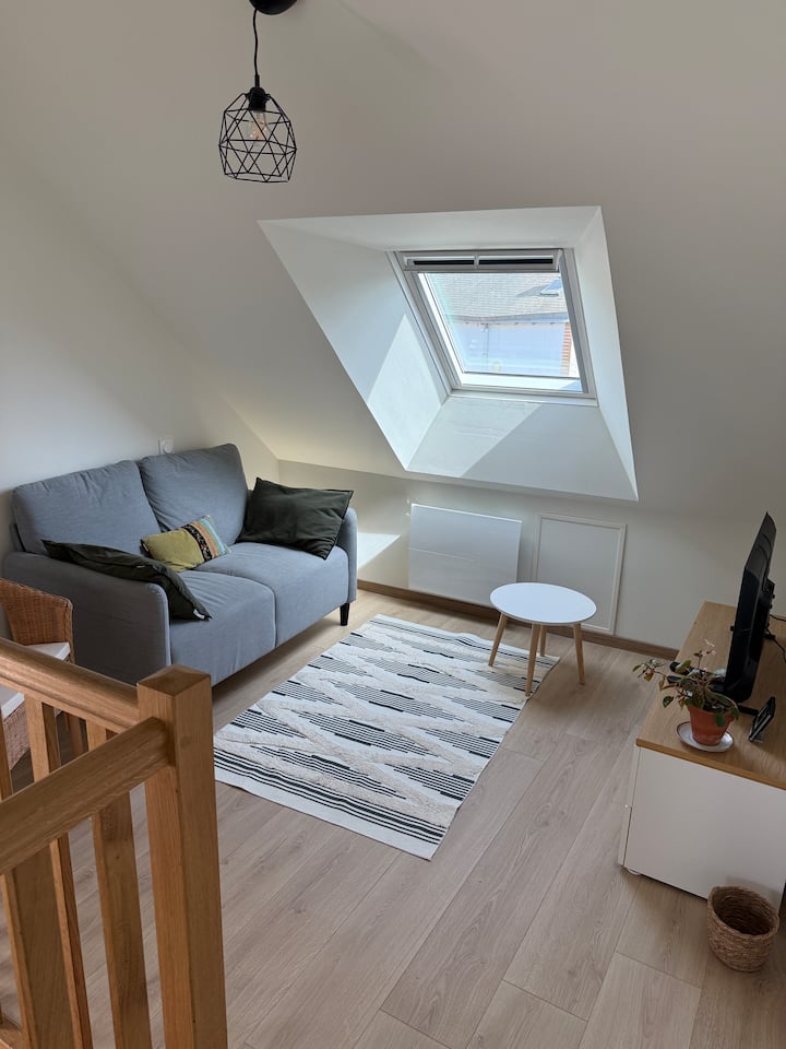 Petite Maison Duplex Avec Jardin - Aubigny-sur-Nère