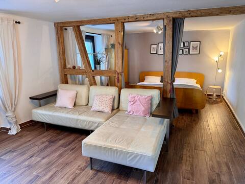 Apartment "hevianna" near KIT