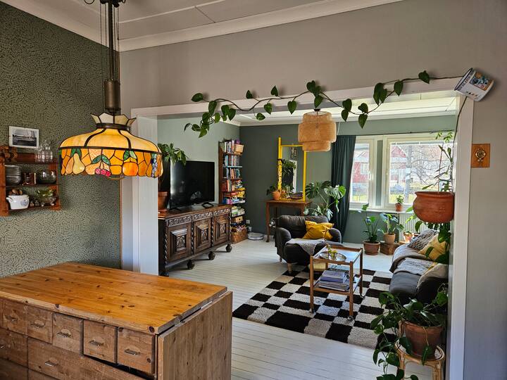 Cozy City House - Jakobstad