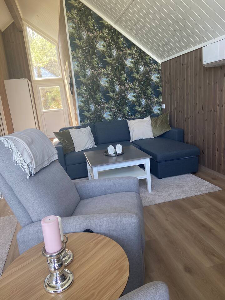 Bright and nice living room with sofa that I turn out to sofa bed.