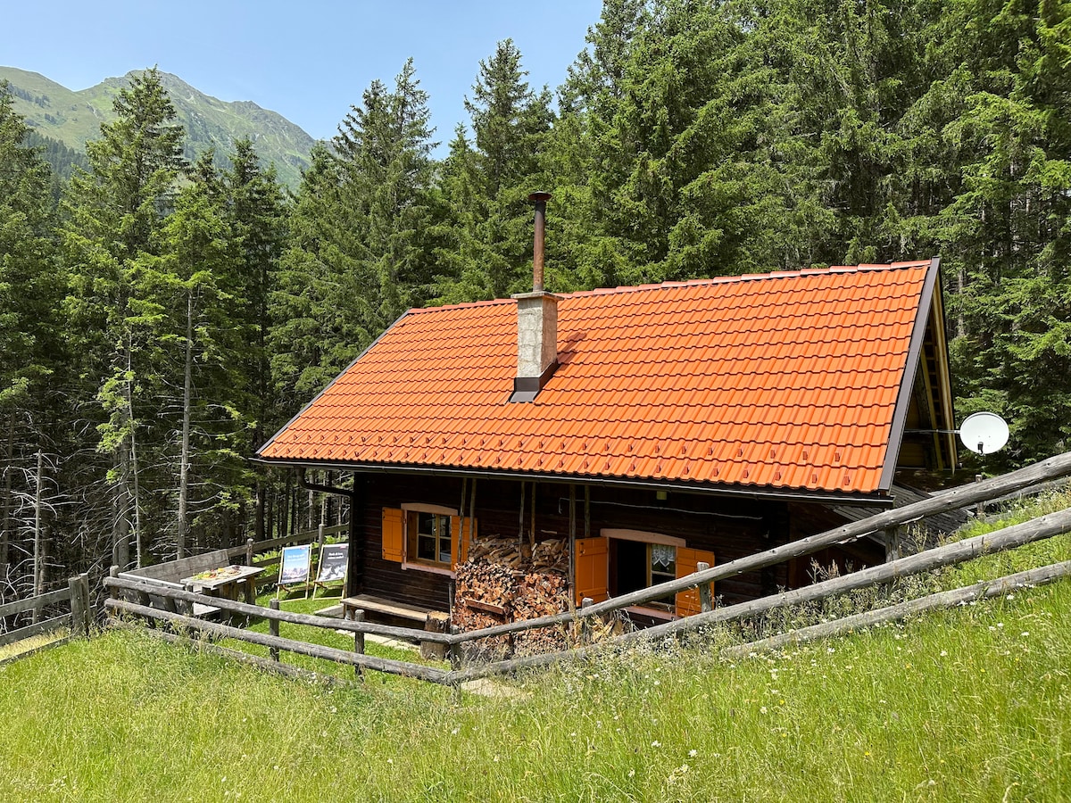 A wooden chalet with a distinctive orange roof is nestled among tall pine trees. The structure features an inviting front porch and is surrounded by a grassy area. Stacks of firewood are neatly arranged beside the building, enhancing the rustic setting.