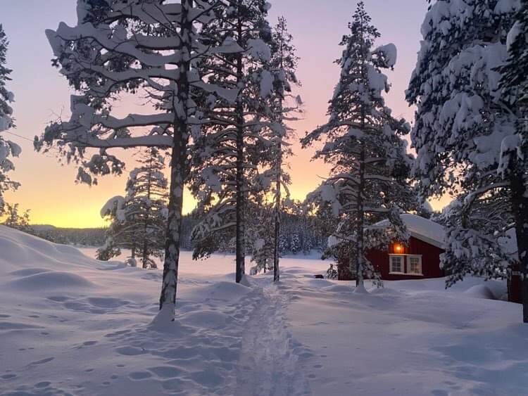 A scenic pathway through snow-covered terrain is flanked by tall pine trees. A charming red cabin is visible in the distance, warmly lit against a backdrop of soft sunset hues. The serene winter landscape conveys tranquility and natural beauty.