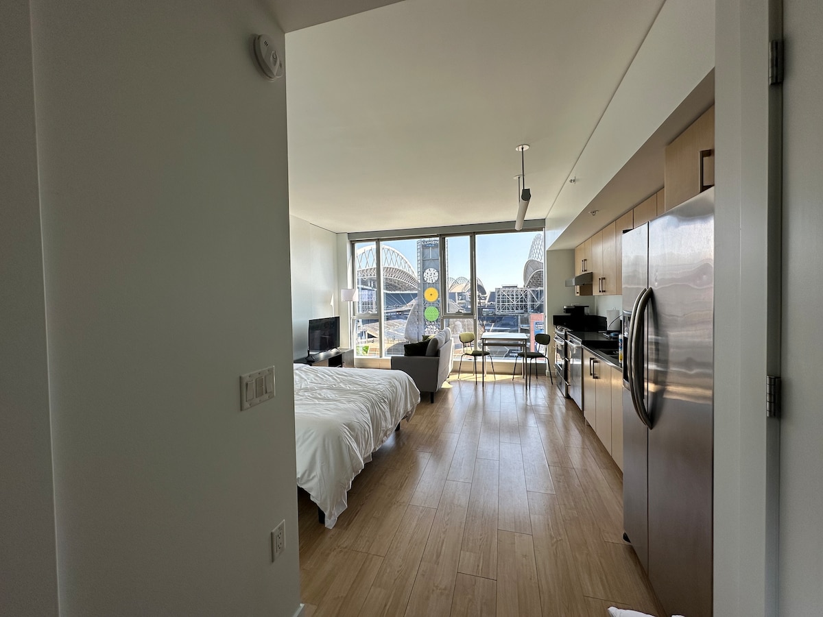 Downtown High Rise