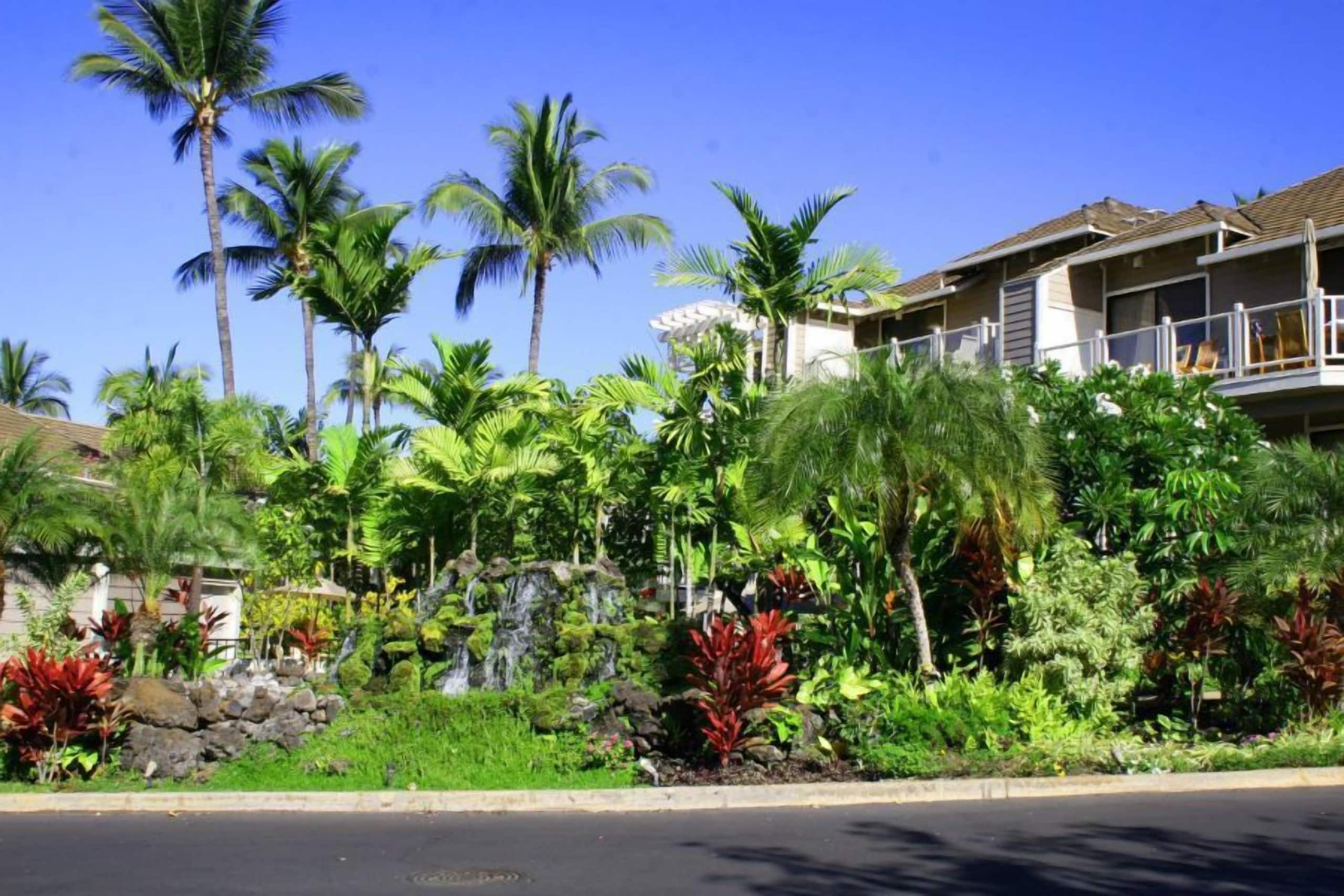 Condo in Wailea · ★4.8 · 2 bedrooms · 3 beds · 2 baths - Image 36