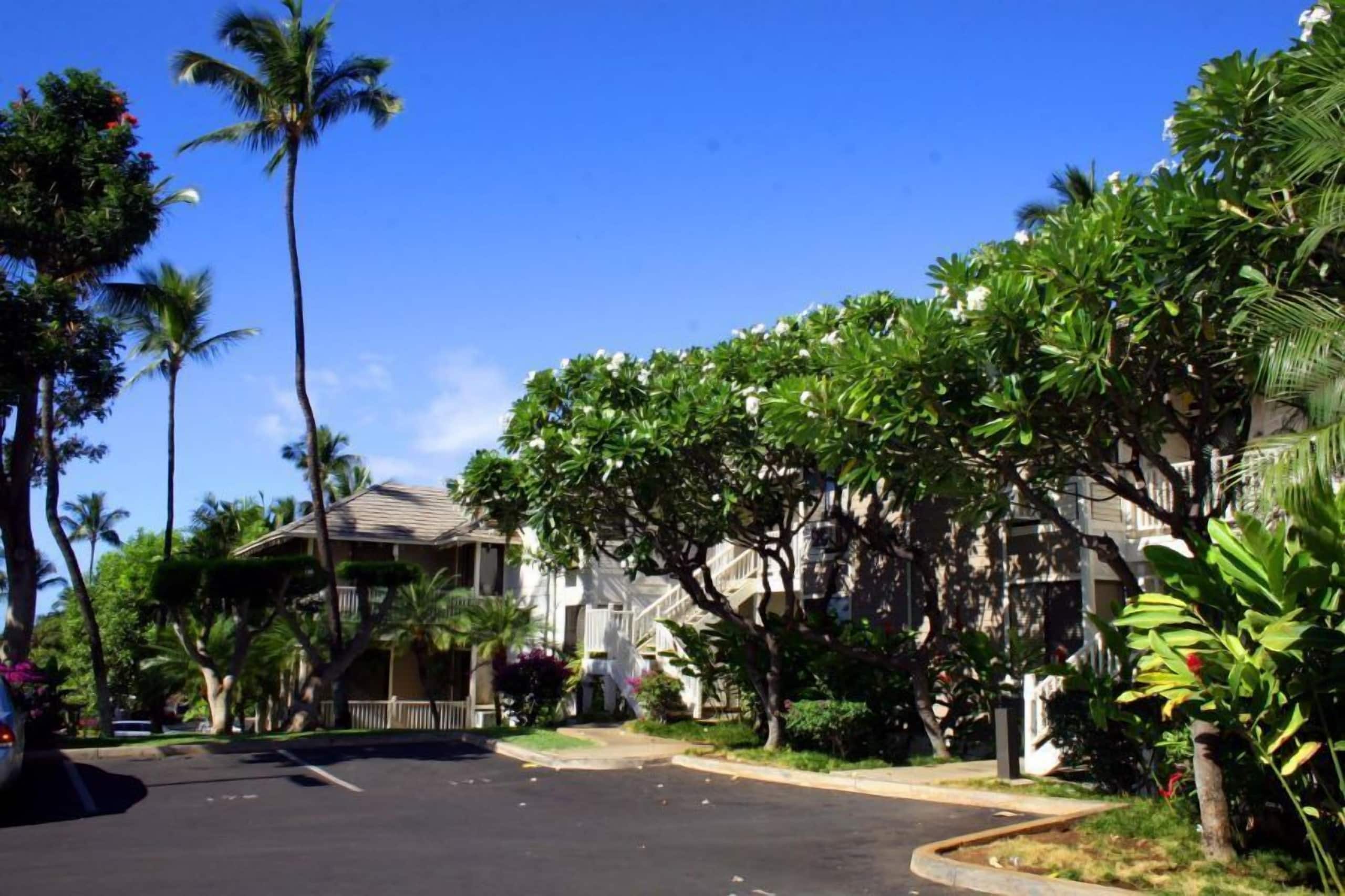 Condo in Wailea · ★4.8 · 2 bedrooms · 3 beds · 2 baths - Image 37