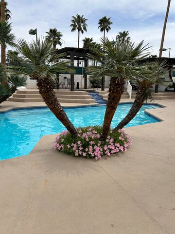 r 10beds, 5.5 bath estate. Incredible amenities! gallery image 2