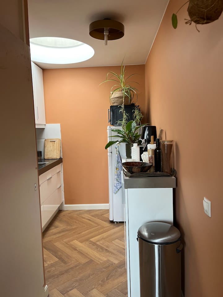 Cosy Bright Appartement With Canal & Sunset View - 阿姆斯特丹