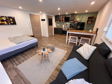 Modern 1-room apartment