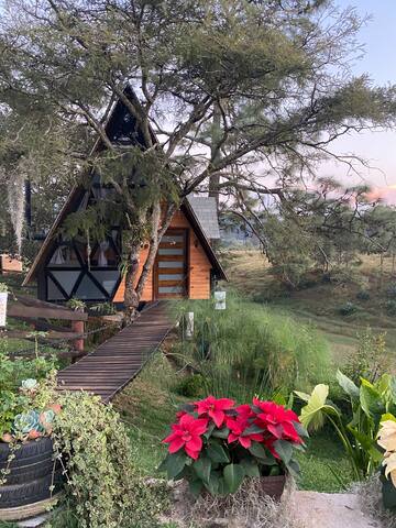 Entire home with 1 bedrooms in Mazamitla - Cabaña Alpina 
