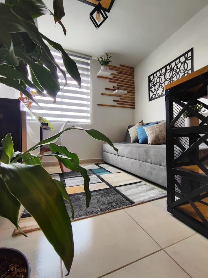 Yarumo Tree Efficiency Apartment - Armenia, Colombia