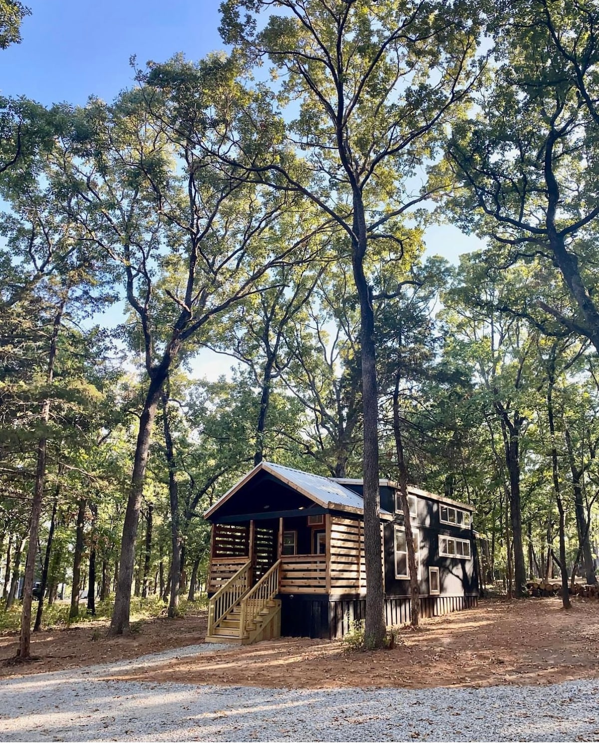 A charming tiny home is nestled among tall trees, surrounded by a serene forest setting. The exterior features a blend of wood finishes and a welcoming front staircase leading to a porch, inviting exploration of the wooded landscape.