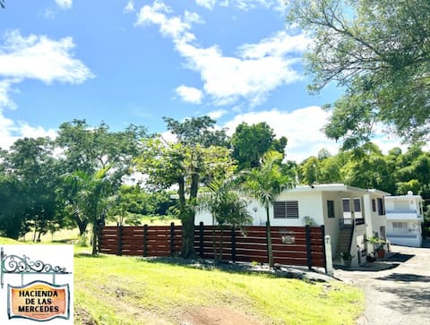 Hacienda de las Mercedes 1 (Hacienda of the Mercy 1)
Pet Friendly