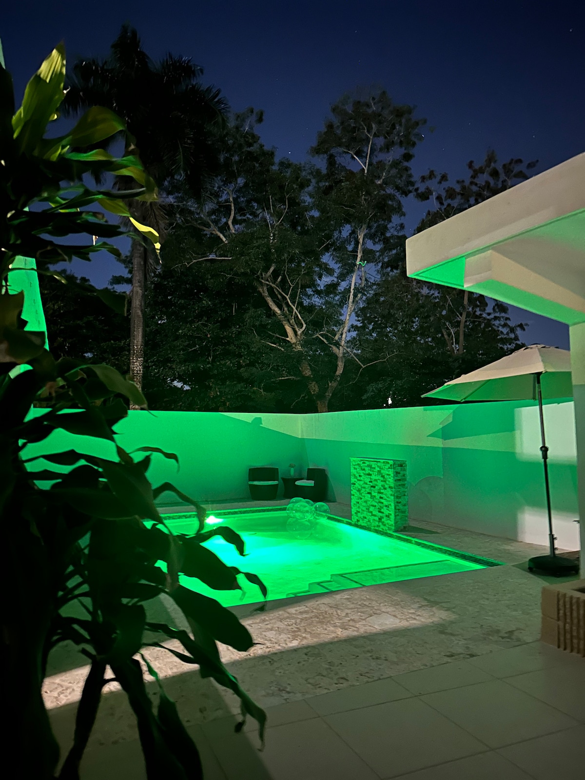 A tranquil pool area is surrounded by lush greenery, illuminated with a soft green glow. The serene space includes two lounge chairs and a large umbrella, creating a comfortable spot for relaxation under the night sky.
