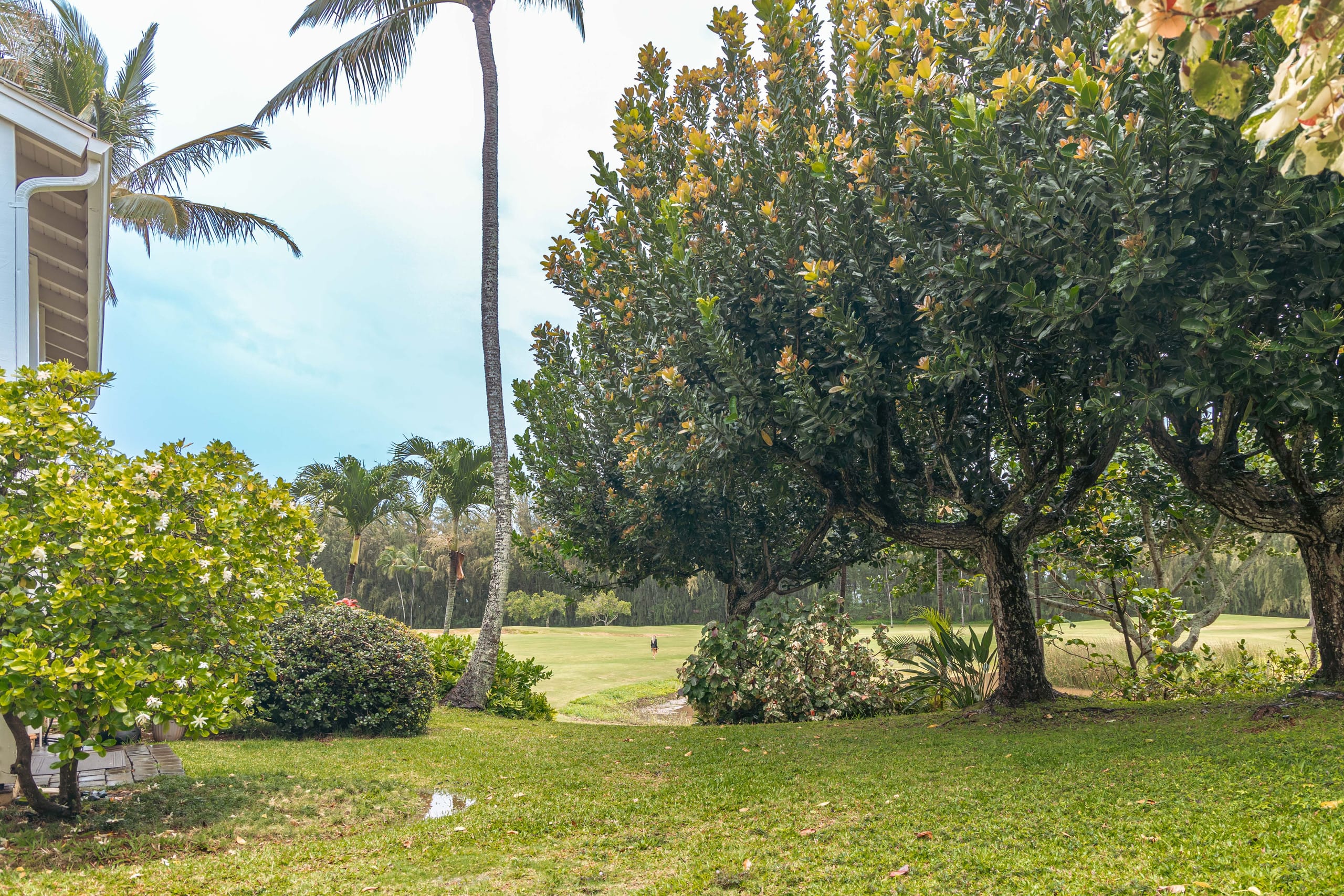 Condo in Kahuku · ★4.81 · 1 bedroom · 2 beds · 1 bath - Image 42
