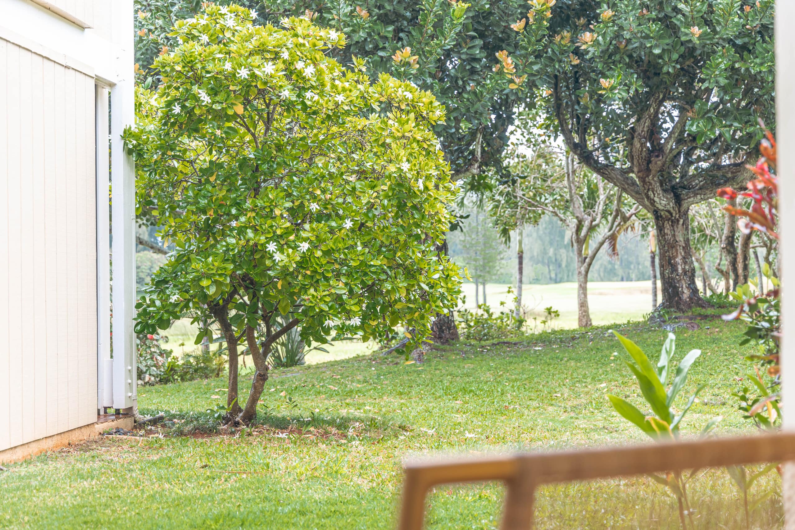 Condo in Kahuku · ★4.81 · 1 bedroom · 2 beds · 1 bath - Image 43