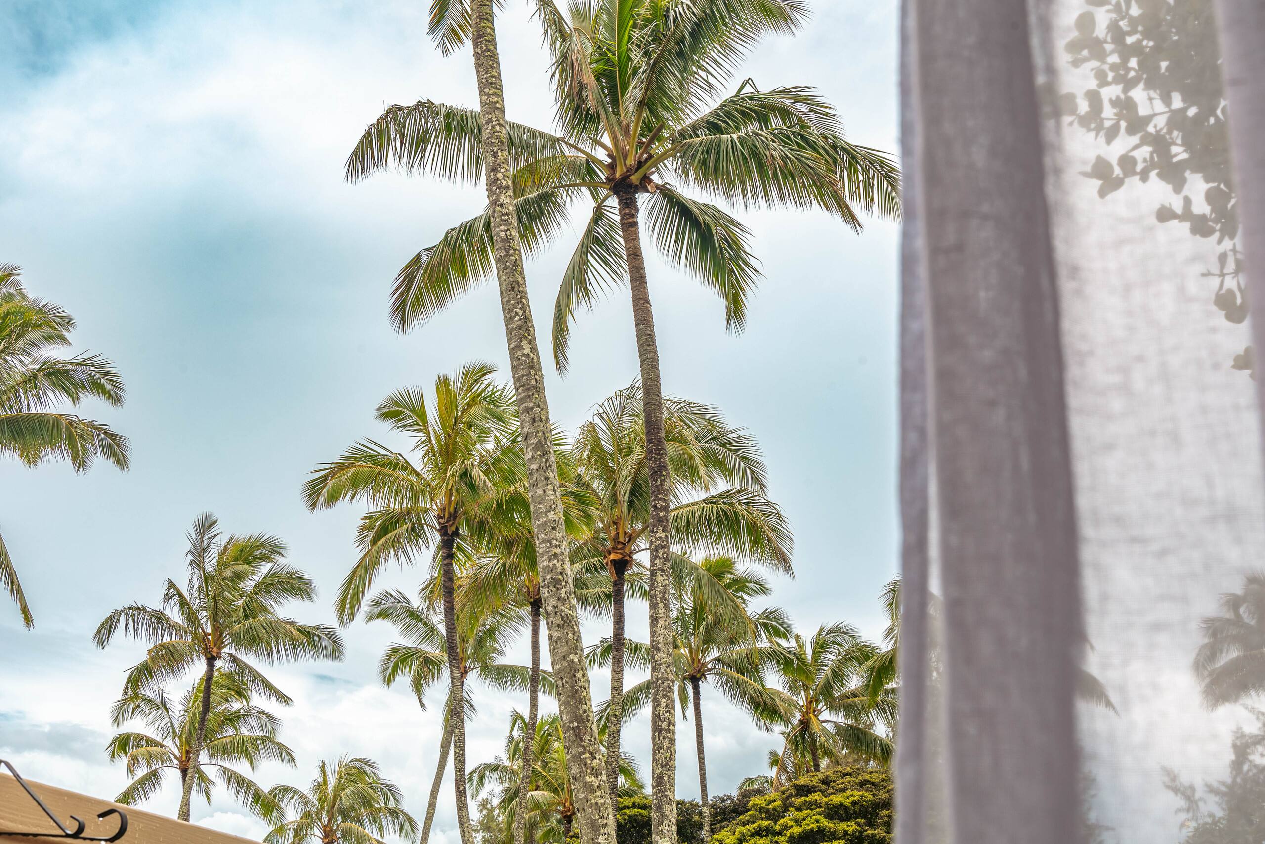 Condo in Kahuku · ★4.81 · 1 bedroom · 2 beds · 1 bath - Image 49