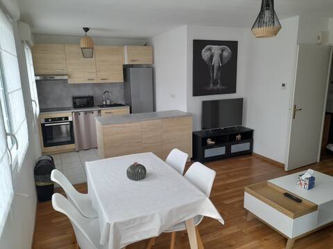 Beautiful apartment in Thionville