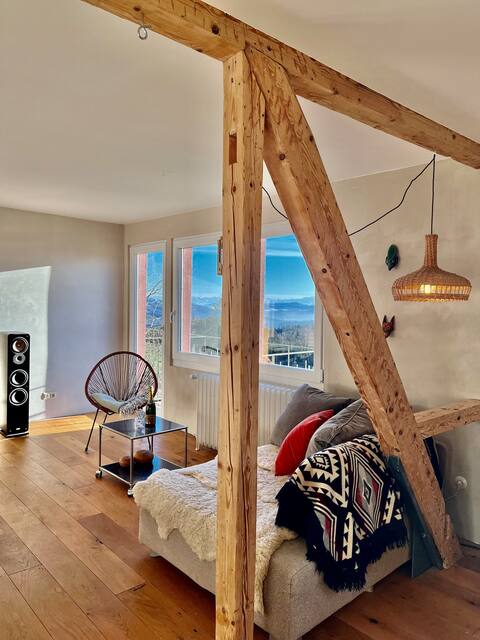 Remote view apartment in Schweigmatt