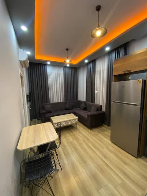 A luxury apartment in the center.