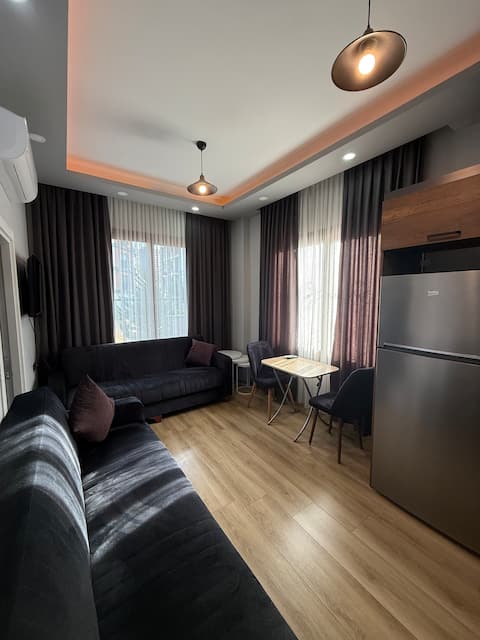 A luxury apartment in the center.