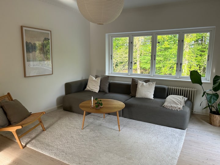 Stor Og Lys Lejlighed Med Altan - Odense
